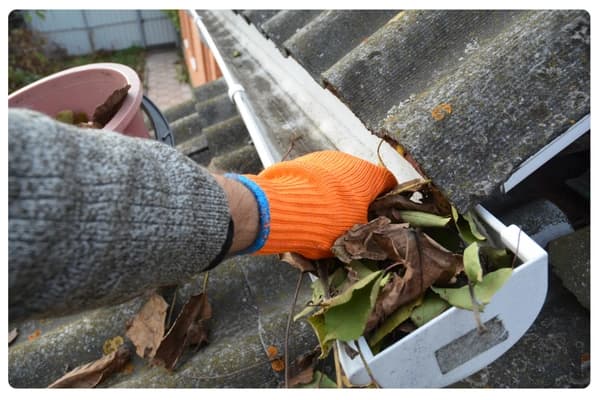 Gutter Cleaning